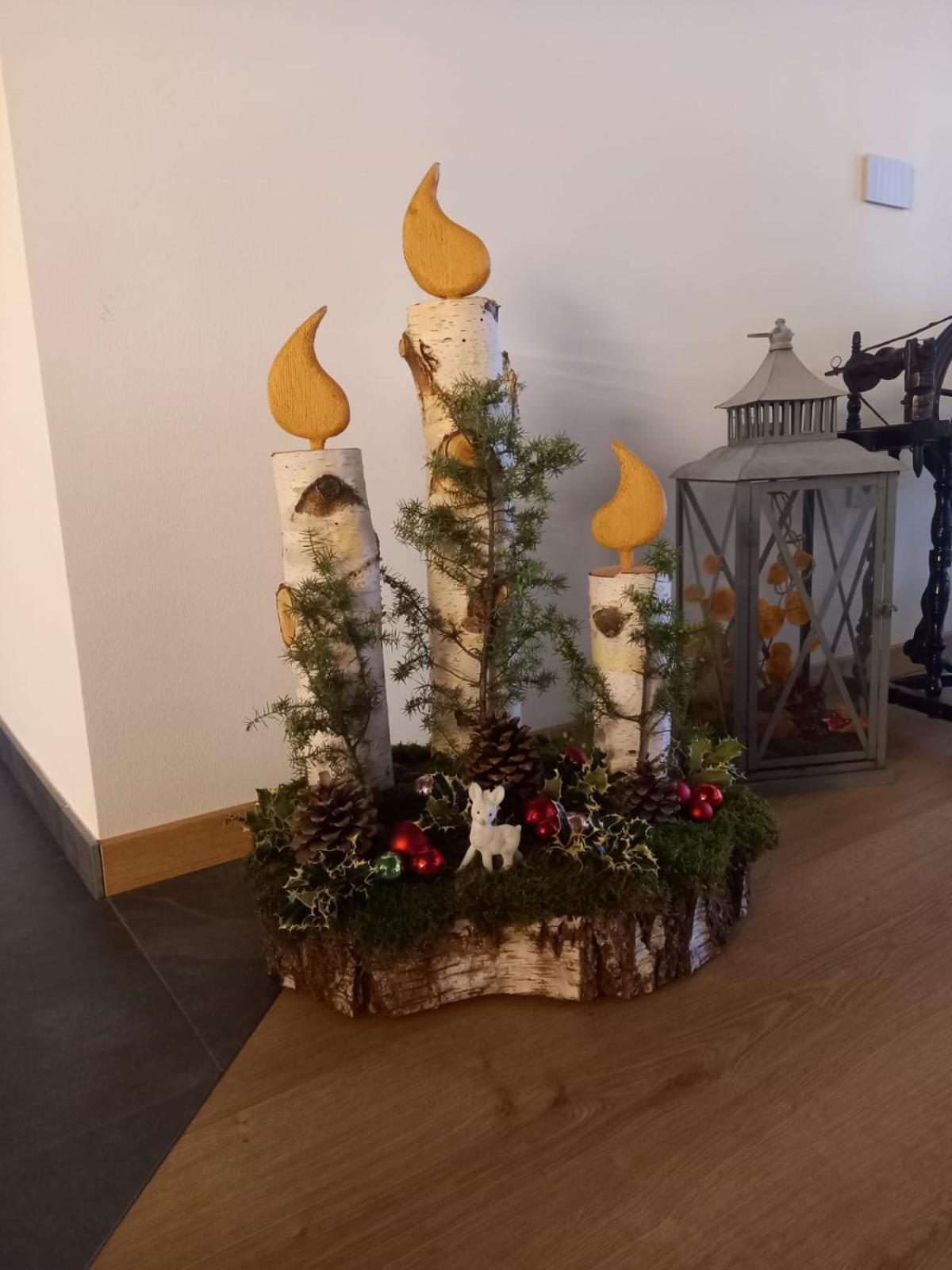 Tassullo Le Rocce Val Di Non - Quality Room & Breakfast מראה חיצוני תמונה